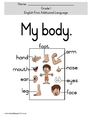 My Body Gr 1